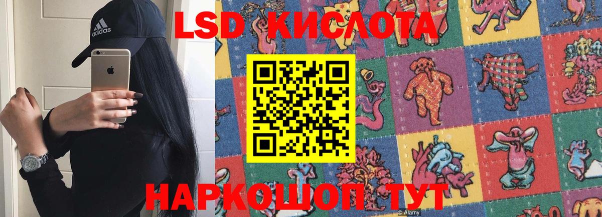 ЛСД экстази  ЛСД экстази ecstasy  Вход с VPN  Новозыбков  ЛСД экстази ecstasy 