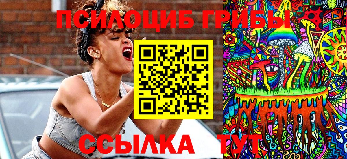 Галлюциногенные грибы MAGIC MUSHROOMS  Вход с VPN  Новозыбков 